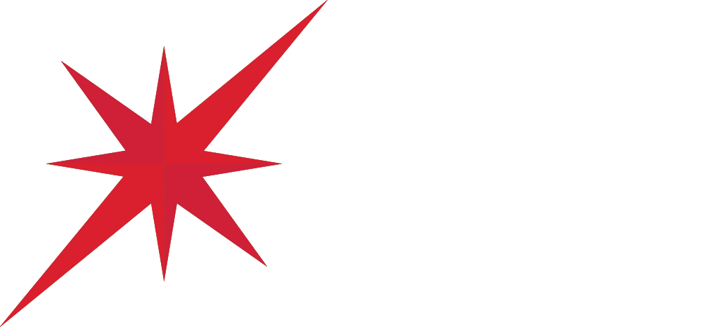 Stellar Vector